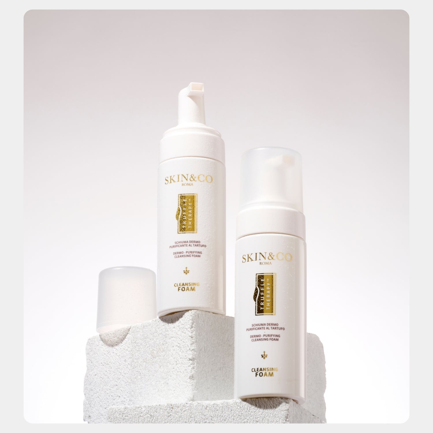 The Foaming Cleanser