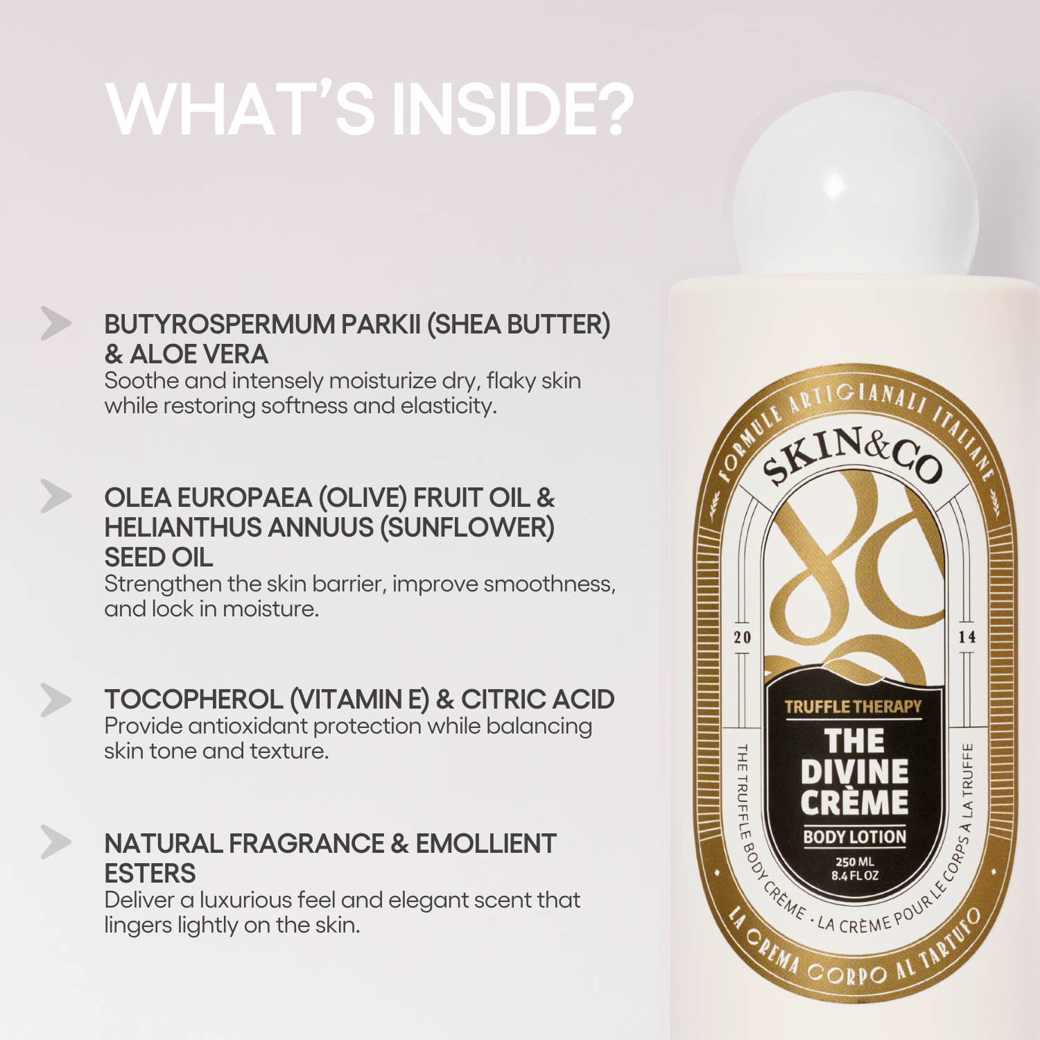 The Divine Body Crème